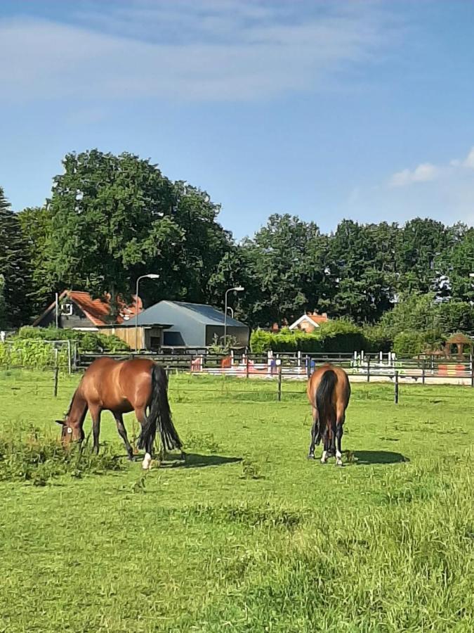 'T Wolthoes Vlagtwedde Exterior foto